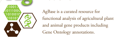 AgBase is a curated resource for functional analysis of agricultural plant and animal gene products including Gene Ontology annotations.